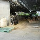 보리수 산장 이미지