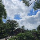 버치우드 | [고한] 버치우드 / 베이커리카페 / 하이원리조트근처카페