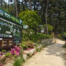 운수천공간쉼터 | 부산 기차여행, 백양산 애진봉 철쭉군락지 소녀감성 당일치기 산행