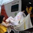 배꽃세탁 이미지