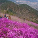 천주산 등산로 이미지