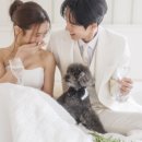 유진결혼정보 | 📸 한복부터 강아지까지 &lt;프롤로그 서울&gt; 웨딩스냅촬영 후기 (feat.키노스튜디오/노을공원)