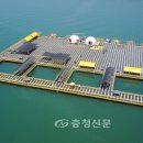 천수만해상낚시공원 이미지