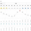 내일, 3.1절 태극집회가 열리는 시청, 시간대별 일기예보!!!!! 이미지