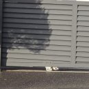 남중하나마트 | (뉴질워홀+28~31) 2025.07.14~17 첫 만남은 너무 어려워