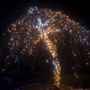 별빛정원B 이미지