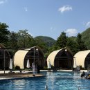 스테이 하루비 춘일 이미지