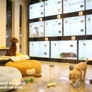 청주지웰동물병원 이미지