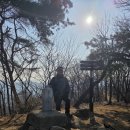 분당-136 Daum카페