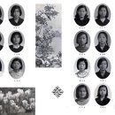 왜관초등학교 이미지