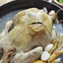 닭껍데기 Daum카페