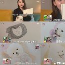 미대농장 이미지