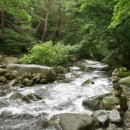 남강하하 이미지