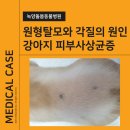 문동물병원 - 충주시 용관길 16 | 문동물병원