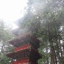 산하목장 | 닛코 당일치기 방문기 (클룩 닛코 버스투어 후기, 동조궁-게곤폭포-주젠지호) (250801 Canon EOS M2)