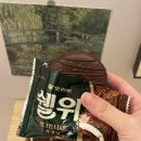 쉘위커피 | [신상간식추천] 오리온쉘위 : 입안에서 살살 녹는 쉘위 클래식 & 쉘위 카카오 후기 !