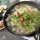 일레븐CC 이미지