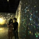 테슬라코리아 제주 애월점 | 빛의 향연 아르떼뮤지엄 제주 &amp; 마셰코 우승자의 내공! 제주 애월 '아루요'에서 인생 덮밥 만나고 온 후기