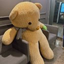 메이 | 화성온천 가족탕 호텔더메이 후기 월문온천 아이랑 가기 좋은 숙소