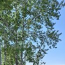 춘화로 14-3 이미지