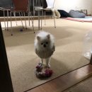 동물에반하다동물병원 이미지