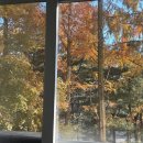 대신오토 이미지