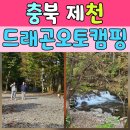 심심Free | 가을 단풍과 함께한 제천 드래곤오토캠핑장 1박 2일 캠핑후기