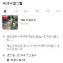 피크닉앤