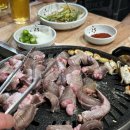 노형바다장어