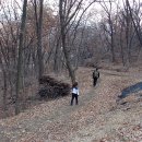 우면산7-2-3 이미지