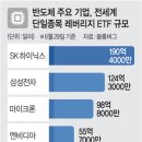 (주)메타종합건설 | 메타發 반도체 쇼크│은행 · 건설 중소형