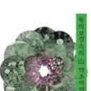 산약초 동의보감 이미지