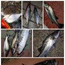 와뜨래요 이미지