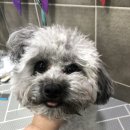 토곡동물병원 이미지