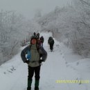 소백산 Daum카페