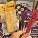 영덕 스테이나이트 별파랑걷기 후기 | 진달래심기와 임창정영덕 등 다양한 이벤트로 즐거웠던 시간