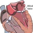 해옴동물병원 이미지