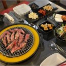 신마포갈매기 이미지