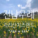지리산멧돼지관광농원 | 4월국내여행 구례 지리산치즈랜드 다녀온 후기 수선화 개화시기 (포토스팟, 입장료, 주차, 매점)