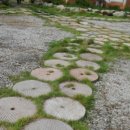 황토와 복분자 펜션 이미지