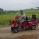 베가모터스 이미지