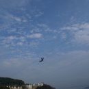 씨라인 이미지