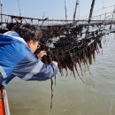 일종수산 이미지