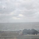 일억조횟집2호점 이미지