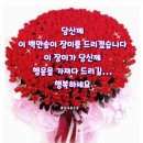 오늘은꽃데이