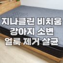 덕일한마음아파트경로당 | 제천 매트리스 청소, 강아지 소변 얼룩 오염 제거 살균 신백동 덕일한마음 아파트
