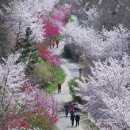 올바른서울병원 이미지