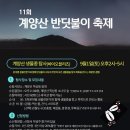 팔구팔칠