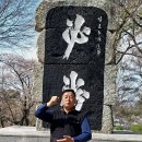 누이네