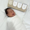 참조은마트 | [출산일기-19일차] 진주 참조은산후조리원 일반실 후기/조리원생활 14일차(마지막 날)